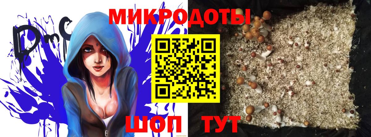 Псилоцибиновые грибы Cubensis  Псилоцибиновые грибы мицелий  Вход с VPN  Дербент 